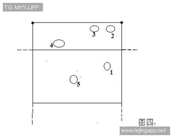 吴静深度解析排球技巧与欧冠足球战术的独特见解分享